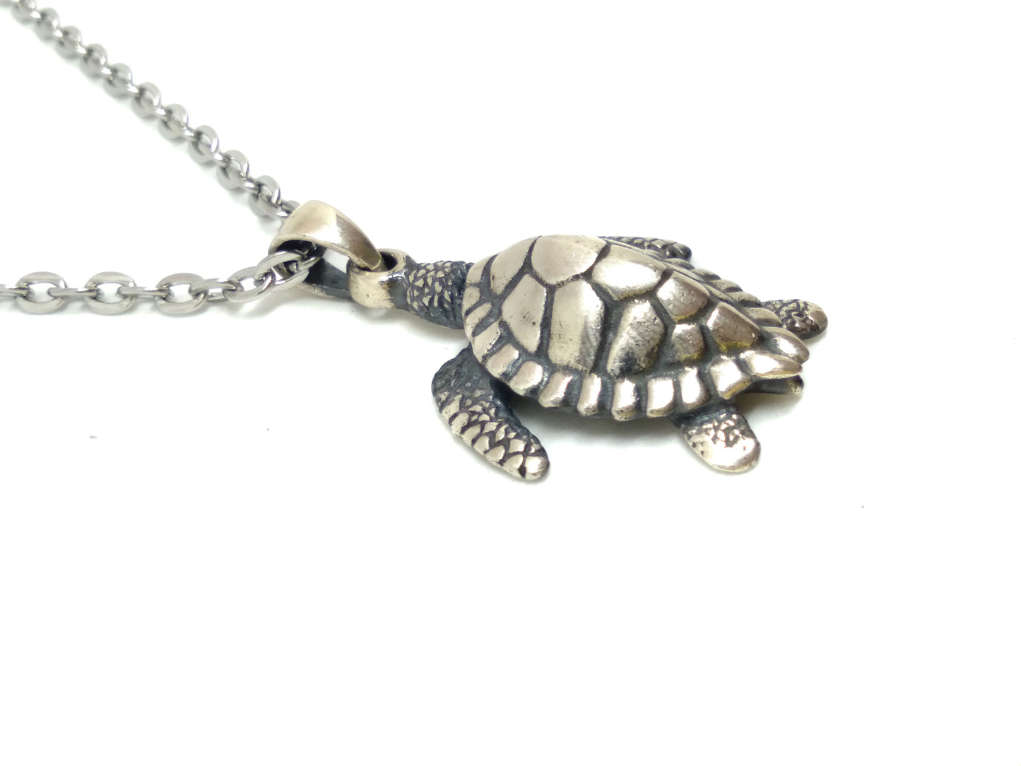 Collar de tortuga