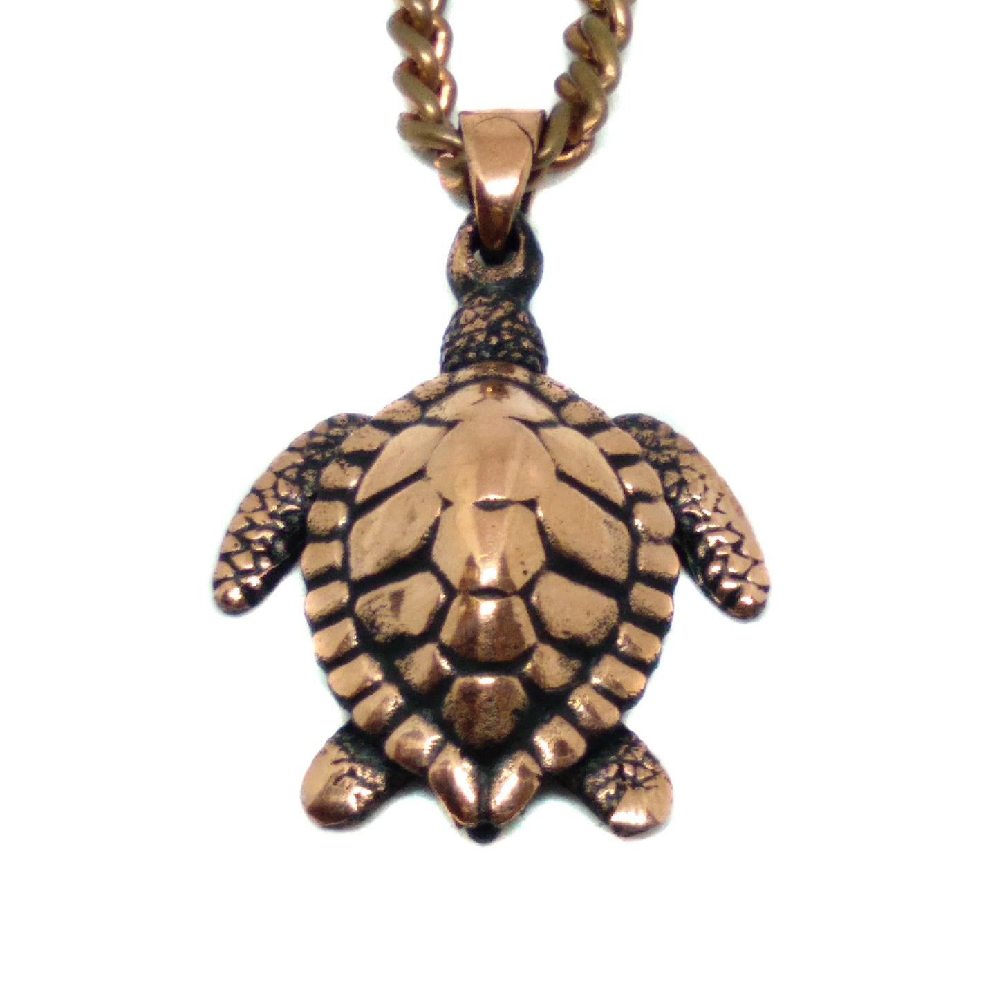 Collar de tortuga