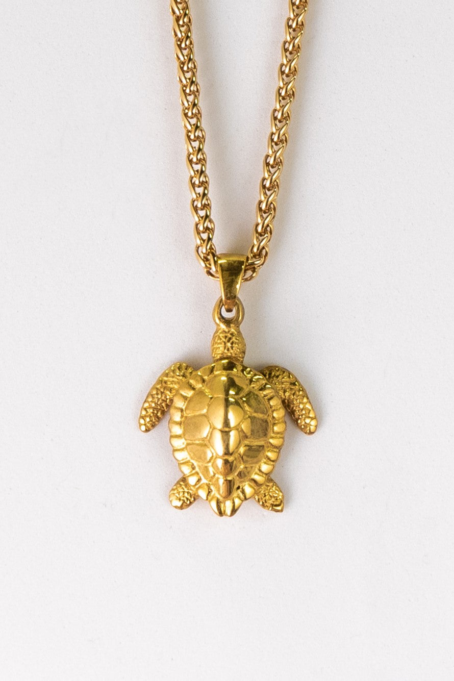 Collar de tortuga