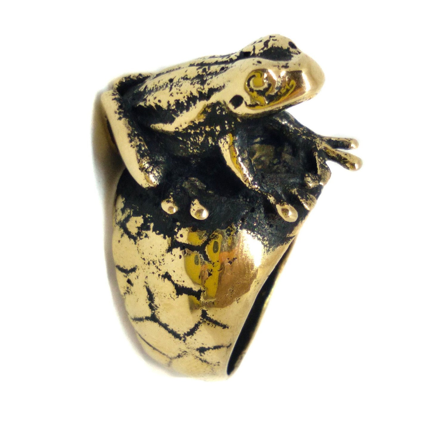 Frog ring