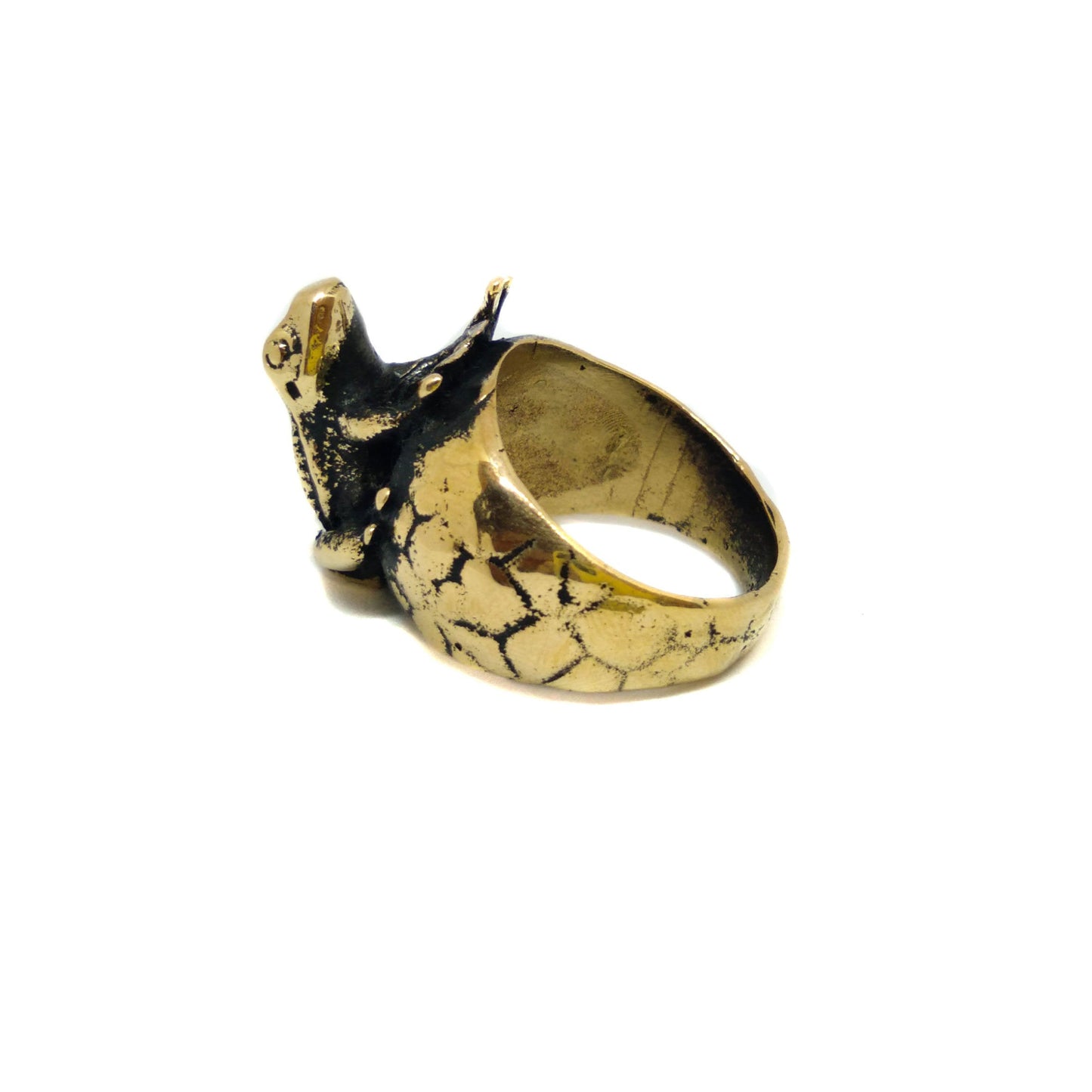 Frog ring